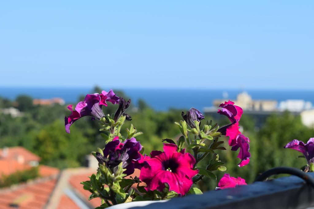 Boutique Villa Rosa Dei Venti Balčik Exteriér fotografie